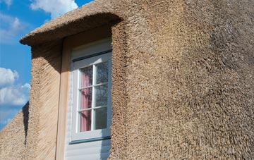 Cathiron thatch roof disadvantages